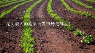 昆明最大的蔬菜批发市场是哪里？