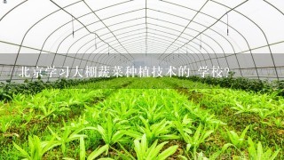 北京学习大棚蔬菜种植技术的 学校?