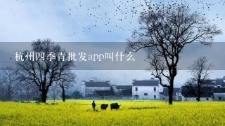 杭州4季青批发app叫什么