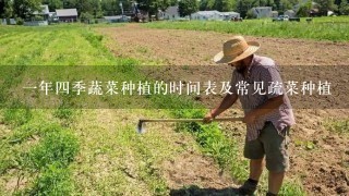 1年4季蔬菜种植的时间表及常见疏菜种植