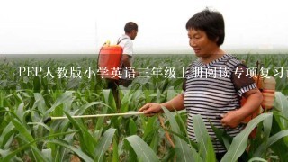 PEP人教版小学英语3年级上册阅读专项复习试题及答案