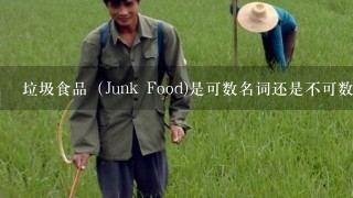 垃圾食品（Junk Food)是可数名词还是不可数名词？