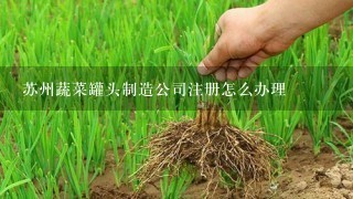 苏州蔬菜罐头制造公司注册怎么办理