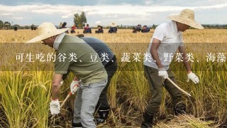 可生吃的谷类、豆类、蔬菜类、野菜类、海藻类都有哪些？（清楚、细致的答案）