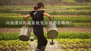 河南漯河的蔬菜批发市场都有哪些？