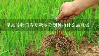 星露谷物语春夏秋冬分别种植什么最赚钱