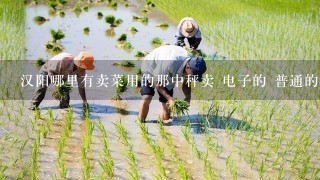 汉阳哪里有卖菜用的那中秤卖 电子的 普通的都行 多少钱1 个