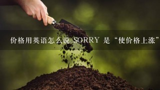 价格用英语怎么说 SORRY 是“使价格上涨”怎么说