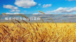 哪里可以查询每日菜价