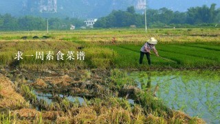 求1周素食菜谱