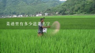 菜谱里有多少道菜名字