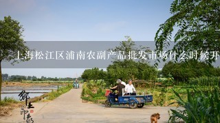 上海松江区浦南农副产品批发市场什么时候开业