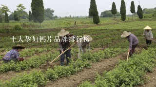 十大孕妇钙片品牌排行榜