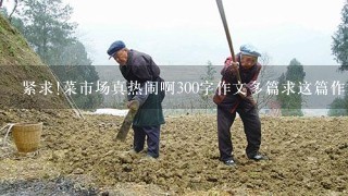 紧求!菜市场真热闹啊300字作文多篇求这篇作文