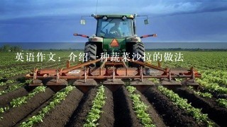 英语作文：介绍1种蔬菜沙拉的做法