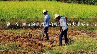 建1个100亩的钢架结构玻璃温室大棚要多少钱？