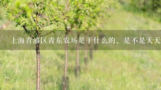 上海青浦区青东农场是干什么的。是不是天天需要干活 家人可以去探望吗？