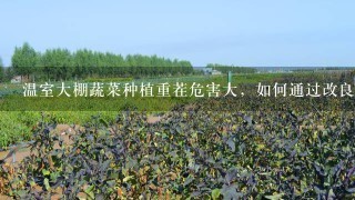 温室大棚蔬菜种植重茬危害大，如何通过改良土壤来缓