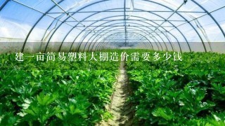 建1亩简易塑料大棚造价需要多少钱