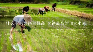 什么水果含钙量最高 含钙最高的10大水果