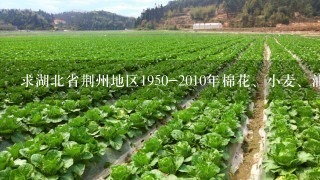 求湖北省荆州地区1950-2010年棉花、小麦、油菜当家品种