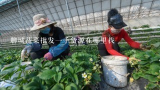 聊城蔬菜批发1手货源在哪里找