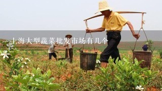 上海大型蔬菜批发市场有几个