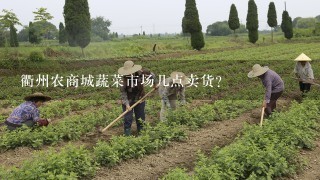 衢州农商城蔬菜市场几点卖货？