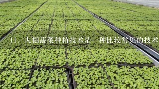 11．大棚蔬菜种植技术是1种比较常见的技术，它具有较好的保温性能，深受人们喜爱，因为在任何时间都可以吃到反季节的蔬菜．下...