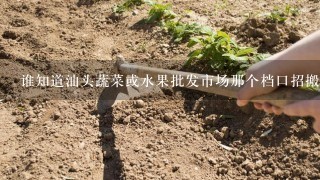 谁知道汕头蔬菜或水果批发市场那个档口招搬运工或临时工