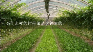 买什么样的裙带菜是含钙量的？