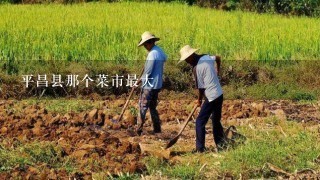 平昌县那个菜市最大