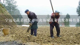 宁远屯蔬菜批发市场离海城蔬菜批发市场有多远