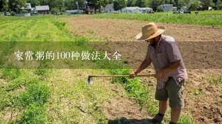 家常粥的100种做法大全