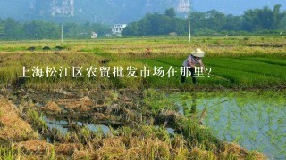 上海松江区农贸批发市场在那里？