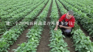 建1个200吨新鲜蔬菜冷库要多少钱？