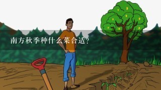 南方秋季种什么菜合适？