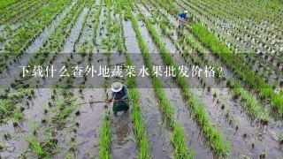 下载什么查外地蔬菜水果批发价格？