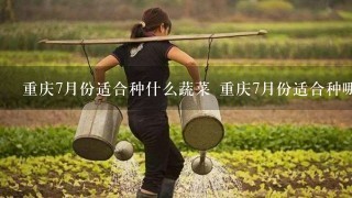 重庆7月份适合种什么蔬菜 重庆7月份适合种哪些蔬菜