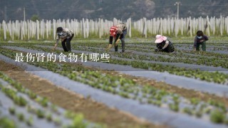 最伤肾的食物有哪些