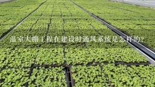 温室大棚工程在建设时通风系统是怎样的？