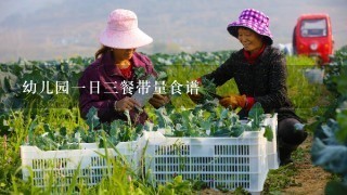 幼儿园1日3餐带量食谱