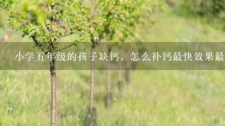 小学5年级的孩子缺钙，怎么补钙最快效果最好？