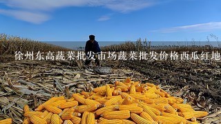 徐州东高蔬菜批发市场蔬菜批发价格西瓜红地瓜多少钱