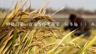 种植白菜、青菜等叶类蔬菜，应多施（ ） A．含氮的无机盐 B．含磷的无机盐 C．含钾的无机盐 D