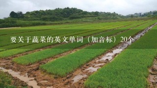 要关于蔬菜的英文单词（加音标）20个