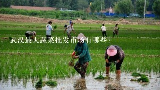 武汉最大蔬菜批发市场有哪些？