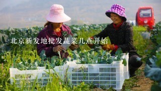 北京新发地批发蔬菜几点开始