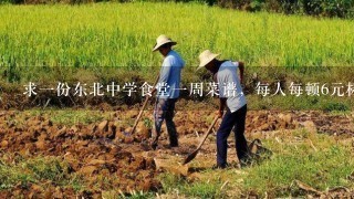 求1份东北中学食堂1周菜谱，每人每顿6元标准