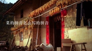 菜的拼音怎么写的拼音